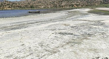 Bafa Gölü ve çevresinde kirlilik alarmı