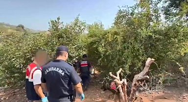 Bahçesini kenevir tarlasına çeviren şüpheli tutuklandı