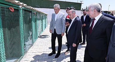 Bakan Yardımcısı Aktaş, sahipsiz hayvanlar için yapılan çalışmaları inceledi