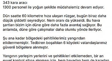 Bakan Yumaklı: Çanakkale Gelibolu'daki yangına müdahalemiz devam ediyor