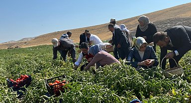 Bakan Yumaklı: Pestisiti azaltma yönünde özellikle kararlıyız
