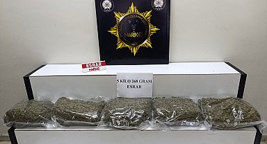 Balıkesir'de 5 kilo esrar ele geçirildi; 1 gözaltı