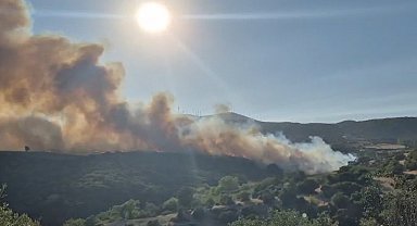 Balıkesir'de orman yangını