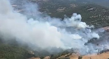 Balıkesir'de orman yangını