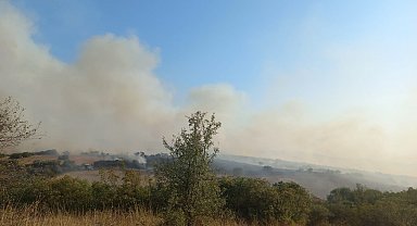 Balıkesir'de tarım arazisinde yangın