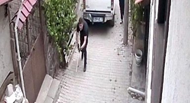 Bayılttıkları köpekleri aracın kasasına fırlattılar; o anlar kamerada