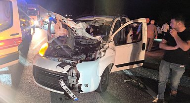 Bingöl'de hafif ticari araç ata çarptı: 1 ölü, 1 yaralı