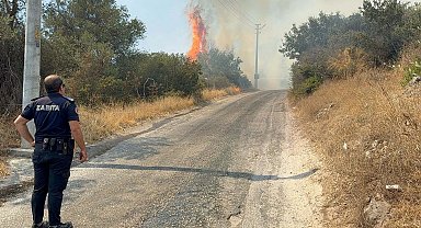Bodrum'da maki yangını