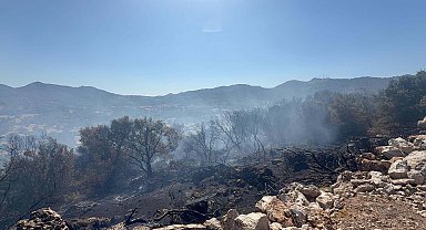 Bodrum'da maki yangını