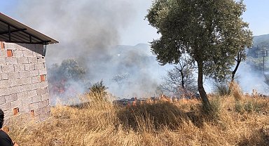 Bodrum'daki yangında 10 dönüm alan zarar gördü