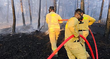 Bolu'da 8,5 saatte kontrol altına alınan orman yangınında soğutma çalışmaları sürüyor
