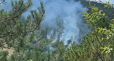 Bolu'da orman yangını 1,5 saatte kontrol altına alındı