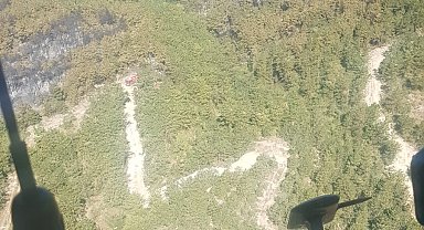 Bolu'da orman yangını kontrol altında; 2 gözaltı