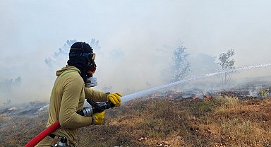 Bolu'da orman yangını