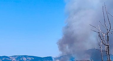 Bolu'da orman yangını