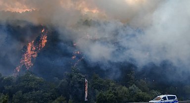 Bolu'da orman yangını