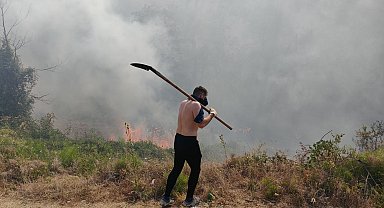Bolu'da orman yangını