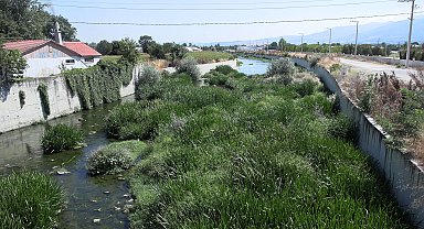 Bolu'da tarım arazilerinin sulanmasında kullanılan derenin bazı bölümleri kurudu