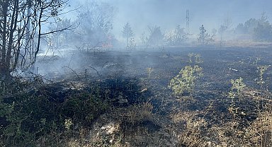Bolu'da yerleşim yeri yakınında orman yangını