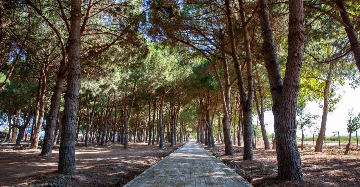 Bursa'ya devasa park ve mesire alanı