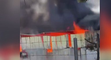 Bursa'da çiftlikte çıkan yangın 1 saatte kontrol altına alındı