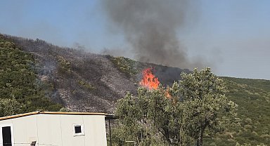 Bursa'da orman yangını kontrol altında