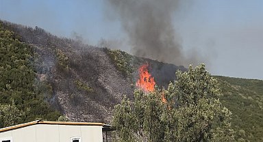 Bursa'da orman yangını soruşturmasında 1 gözaltı