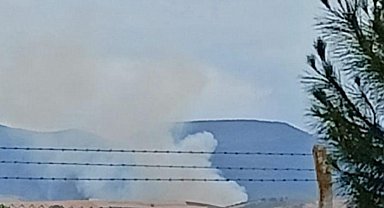 Bursa'da orman yangını