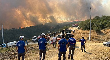 Bursa'da orman yangını