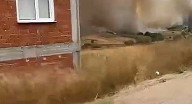 Bursa'da orman yangını