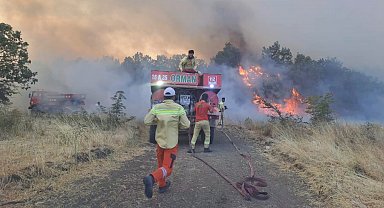 Bursa'da orman yangını