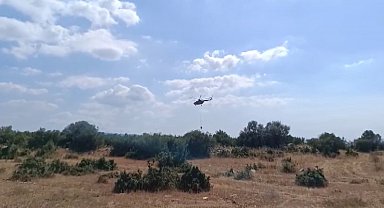 Bursa'da orman yangını