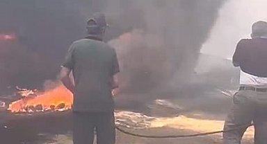 Bursa'da ot yangınında 20 dönüm alan zarar gördü