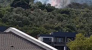 Bursa'da zeytinlikte çıkan yangın 1 saatte kontrol altına alındı