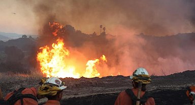 California'daki orman yangını devam ediyor
