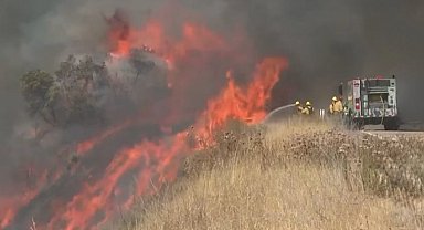 California'daki orman yangınında 12 bin hektar alan yandı