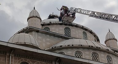 Cami kubbesinde ayağı sıkışan leylek kurtarıldı