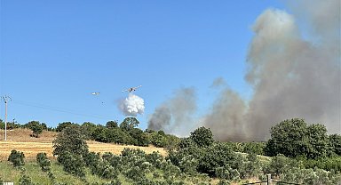 Çanakkale orman yangını