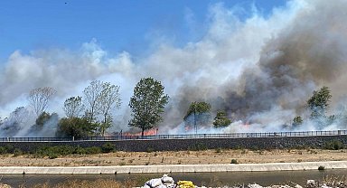 Çanakkale'de Ayvacık'ta da orman yangını çıktı
