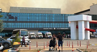 Çanakkale'de iki orman yangını