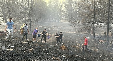 Çanakkale'de iki orman yangını
