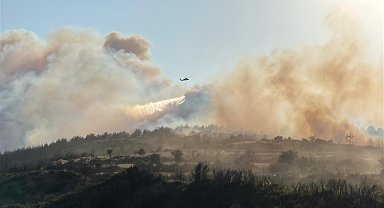 Çanakkale'de orman yangını: 1 köy tahliye edildi