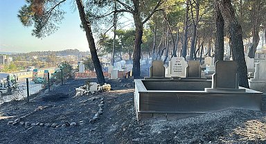 Çanakkale'de orman yangını 2'nci gününde