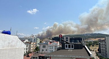 Çanakkale'de orman yangını