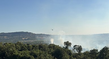 Çanakkale'de orman yangını