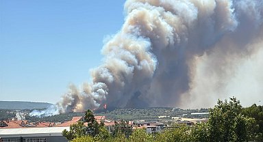 Çanakkale'de orman yangını