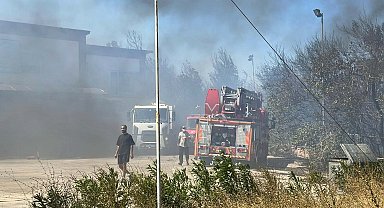 Çanakkale'de orman yangını