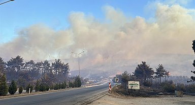 Çanakkale'de orman yangını