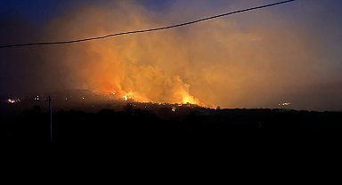 Çanakkale'de orman yangını