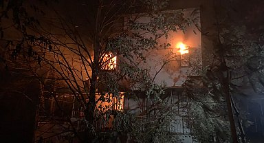 Çanakkale'de orman yangını